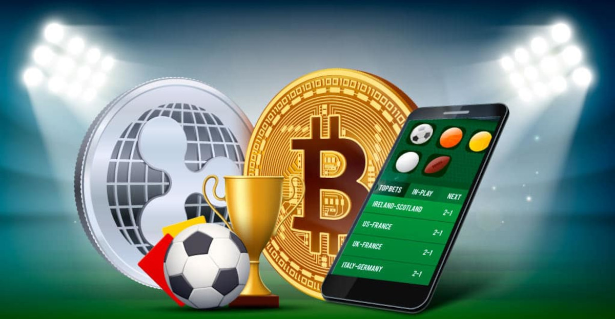 Discover the Best Sites for Live Betting